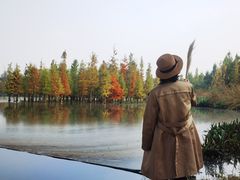 -白鹭湾湿地公园