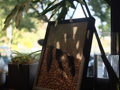 -TODAY(环城东路店)