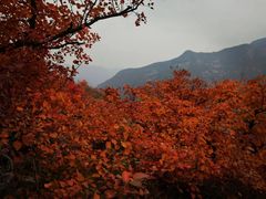 -周口店坡峰岭风景区
