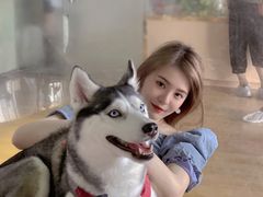 -Husky Go! 哈士奇体验馆·宠物咖啡厅狗咖