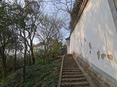 -上海佘山国家森林公园天马山园