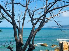 -利苑酒家(合景国际金融广场店)