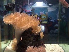 -太平洋海底世界