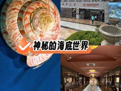 -青岛贝壳博物馆