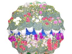 -旺角小渔村(幸福中路店)