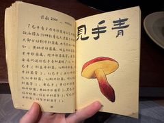 -滇野云南野生菌餐厅(陕西南路店)