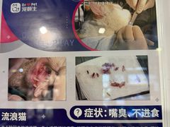 -宠颐生斯嘉宠物医院·急重症·心内科(谷阳北路分院)