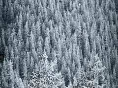 -丝绸之路山地度假区滑雪场