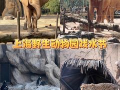 -上海野生动物园