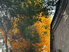 -西安市广仁寺