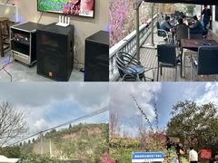 -桃源山庄·水蜜桃采摘·柴火鸡·烧烤团建(龙泉山店)