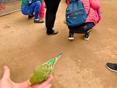 -呀路古热带植物园