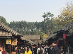 -秀丽东方