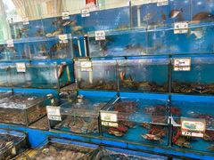 -秋姐美食店(旅游大道店)