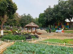 -天河儿童公园