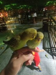 -酷嗒动物文化乐园(cutezoo西溪乐天城店)