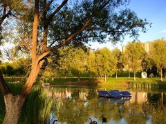 -长春世界雕塑园冰雪艺术天地