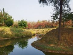 -东郊湿地公园