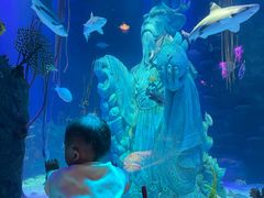 -沈阳海洋探索中心