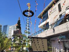 -Paulaner·德国帕拉娜自酿啤酒餐厅(海上世界店)