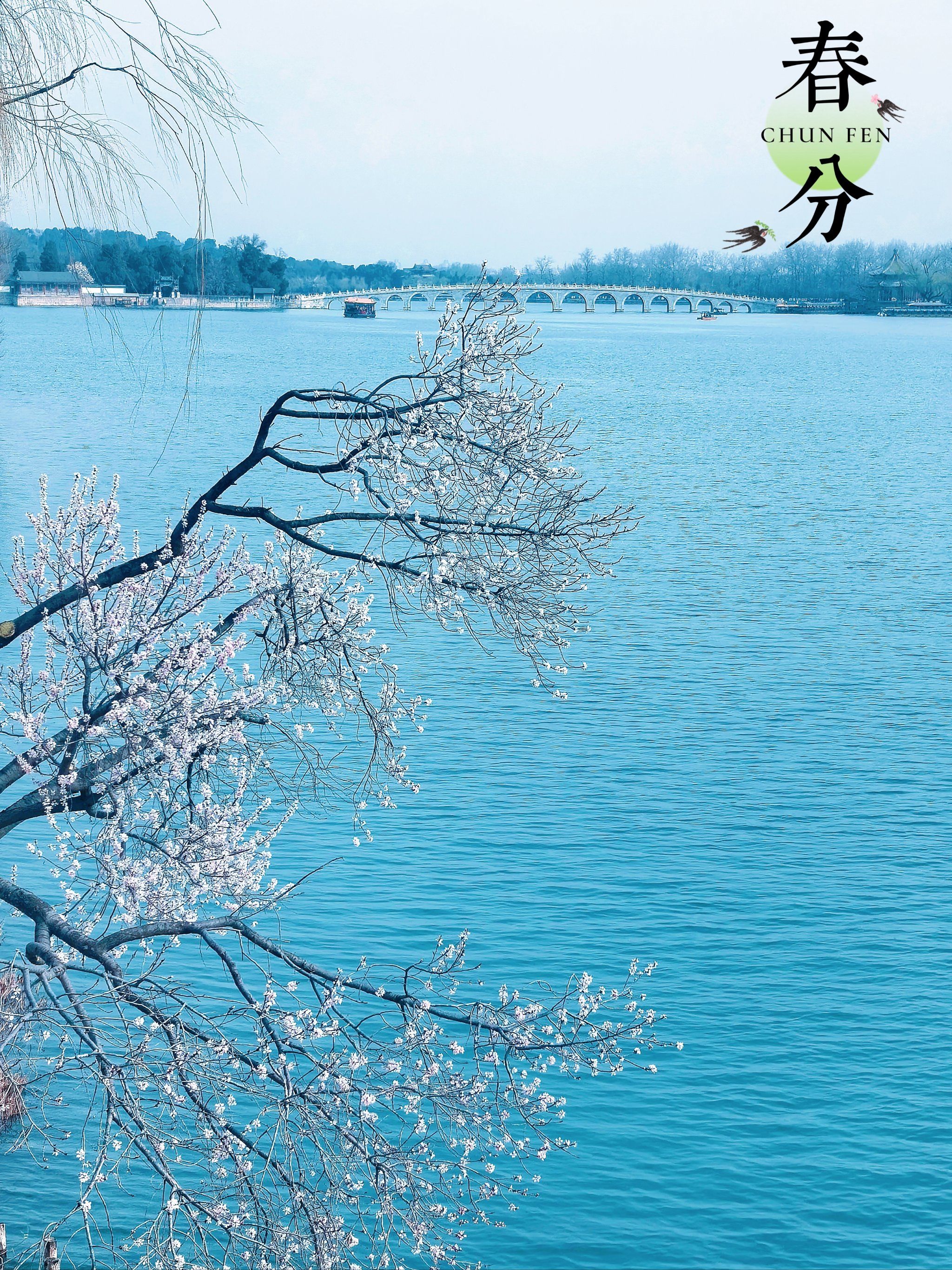 颐和园西堤山桃花盛开