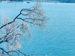 -颐和园