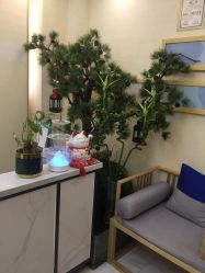 -芳朵美容养生SPA