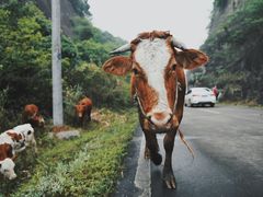-飞天山旅游区