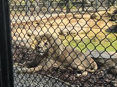 -北京野生动物园