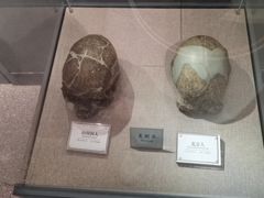 -辽宁古生物博物馆