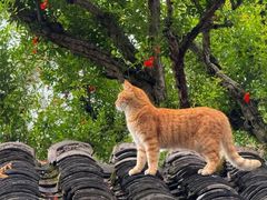 -熊氏牛羊杂粉(龙眼井总店)