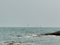 -老虎石海上公园