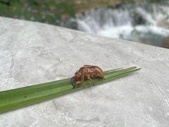 -崇州九龙峡漂流