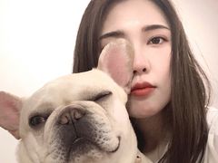 -柴务处·柴犬主题狗咖