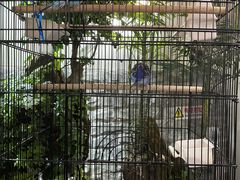 -丽江庭院之丽江往事(安定门店)