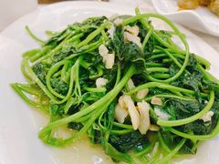 炒地瓜叶-廣味潮鲜·一品潮滋味(五道口店)
