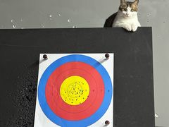 -蓝天射箭馆·专业射箭运动(诚丰广场店)