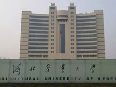 -新白家罩饼(三丰路店)