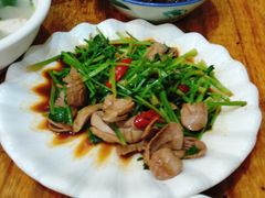 香菜拌猪腰-聪辉同安老美食饭店(大元路店)