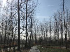 -溱湖国家湿地公园