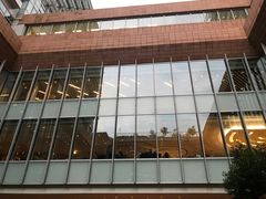 -香港大学