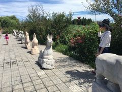 -白洋淀景区