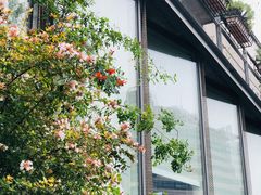 -苏州河梦清园环保主题公园