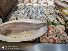 -船歌·鱼水饺青岛菜(黄岛珠江路店)