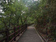 -羚羊峡古栈道森林公园