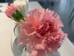 -眉州东坡(望京店)