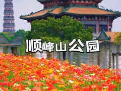 -顺峰山公园