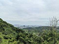 -牛首山文化旅游区