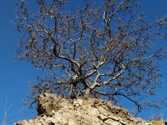 -阳台山自然风景区