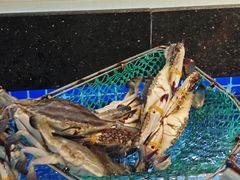 -碧海银沙海鲜餐厅(恒大海上威尼斯店)